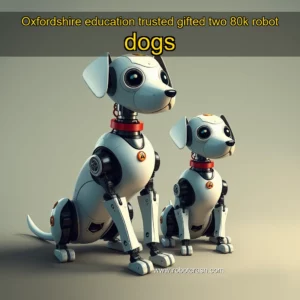 Read more about the article Oxfordshire education trusted gifted two 80k robot dogs